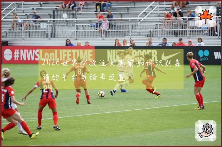 2026世界杯投注决赛前如何识别靠谱的平台与赔率设置