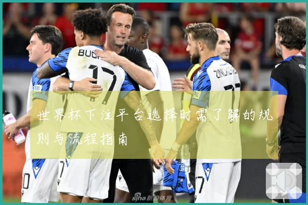 世界杯下注平台选择时需了解的规则与流程指南