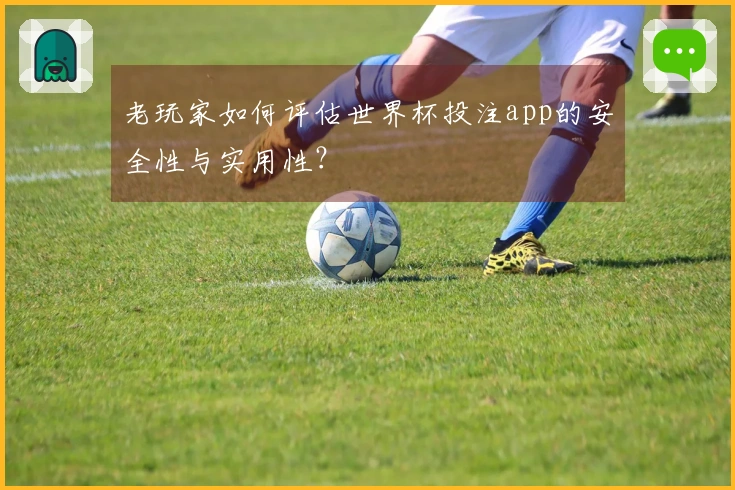 老玩家如何评估世界杯投注app的安全性与实用性?