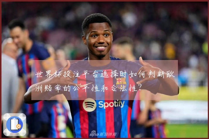 世界杯投注平台选择时如何判断欧洲赔率的公平性和合法性?