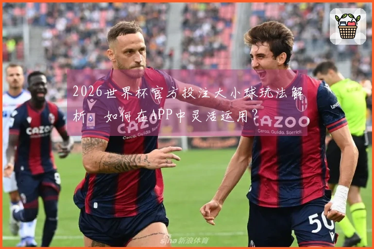 2026世界杯官方投注大小球玩法解析，如何在APP中灵活运用？