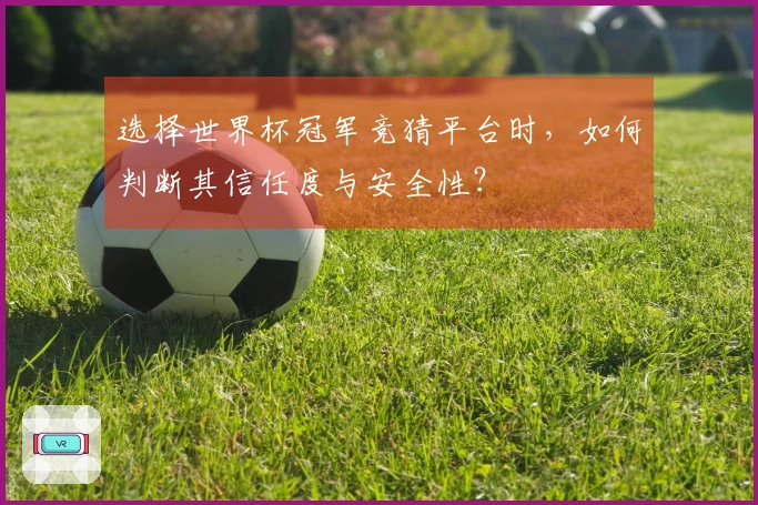 选择世界杯冠军竞猜平台时，如何判断其信任度与安全性？