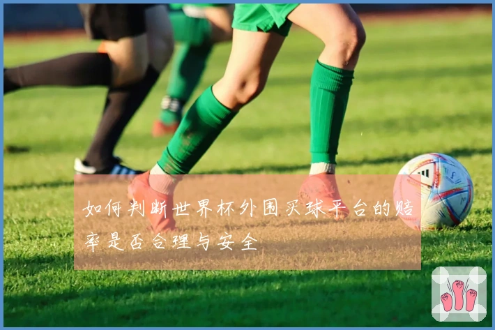 如何判断世界杯外围买球平台的赔率是否合理与安全