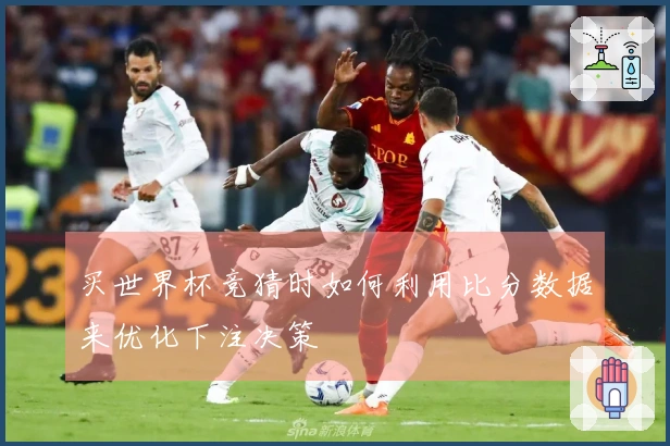 买世界杯竞猜时如何利用比分数据来优化下注决策