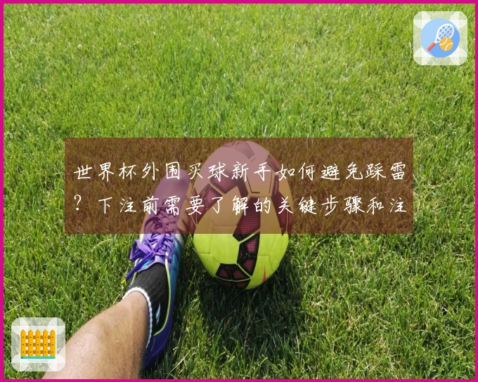世界杯外围买球新手如何避免踩雷?下注前需要了解的关键步骤和注意事项