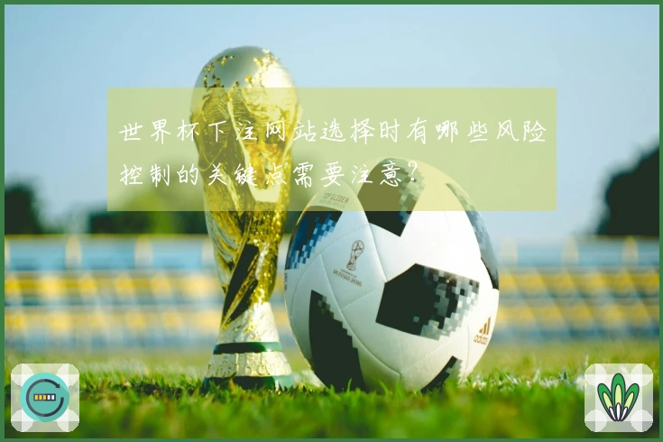 世界杯下注网站选择时有哪些风险控制的关键点需要注意?