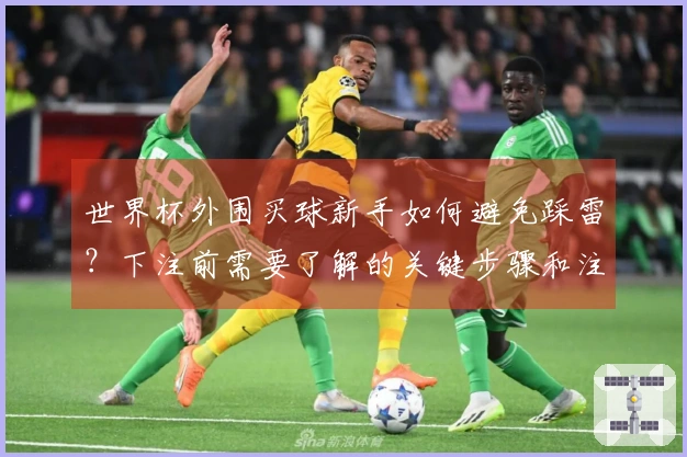 世界杯外围买球新手如何避免踩雷？下注前需要了解的关键步骤和注意事项