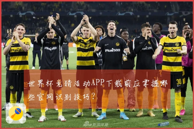 世界杯竞猜活动APP下载前应掌握哪些官网识别技巧?