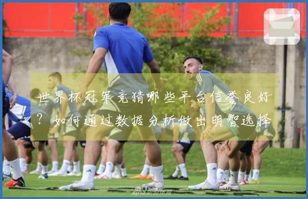 世界杯冠军竞猜哪些平台信誉良好?如何通过数据分析做出明智选择