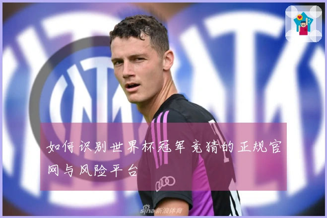 如何识别世界杯冠军竞猜的正规官网与风险平台