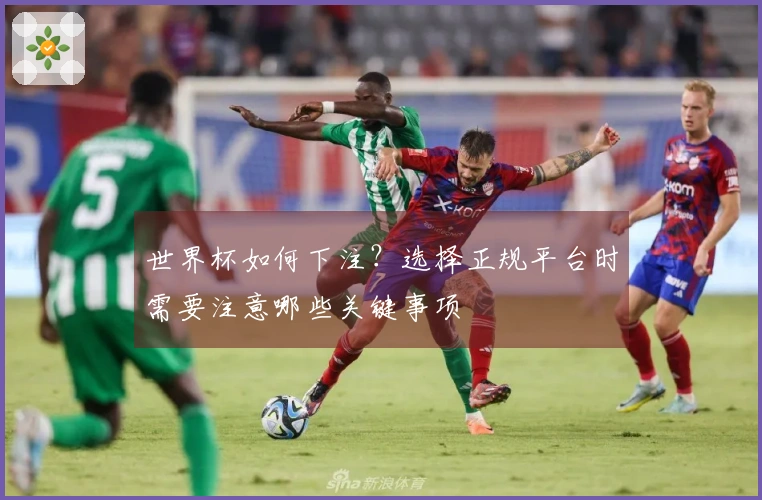 世界杯如何下注？选择正规平台时需要注意哪些关键事项