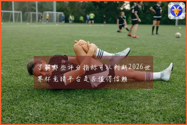了解哪些评分指标可以判断2026世界杯竞猜平台是否值得信赖