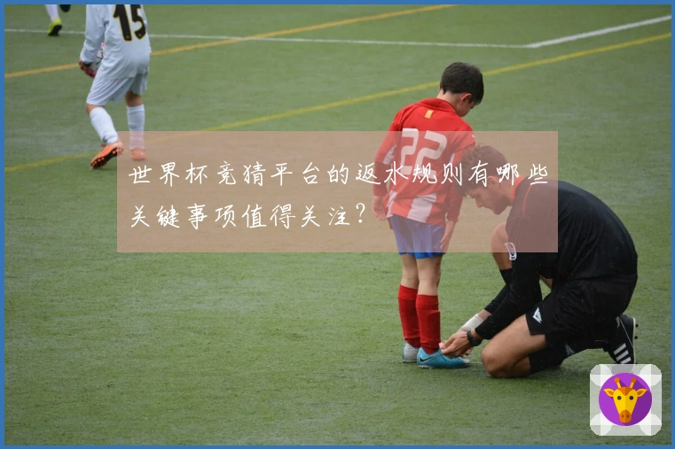 世界杯竞猜平台的返水规则有哪些关键事项值得关注？
