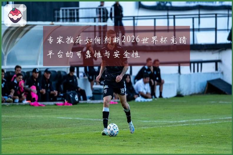 专家推荐如何判断2026世界杯竞猜平台的可靠性与安全性