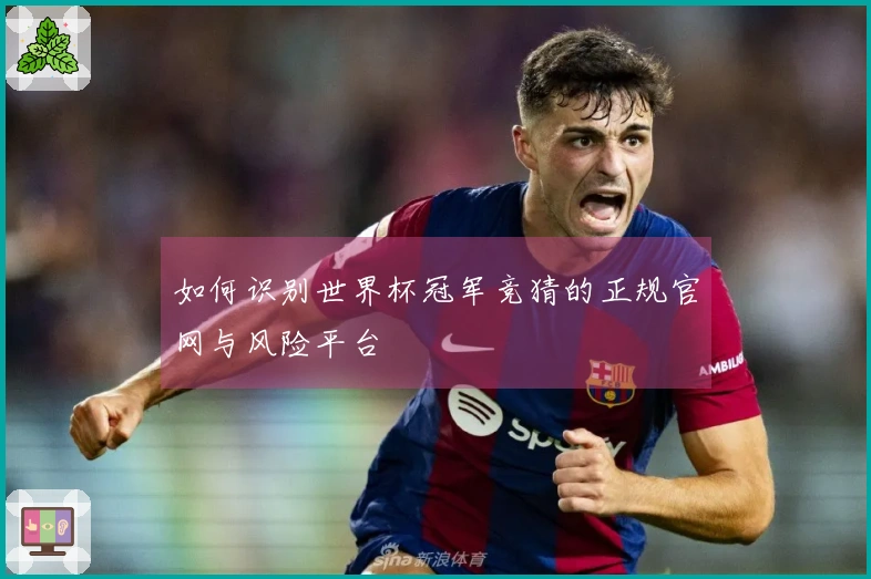 如何识别世界杯冠军竞猜的正规官网与风险平台