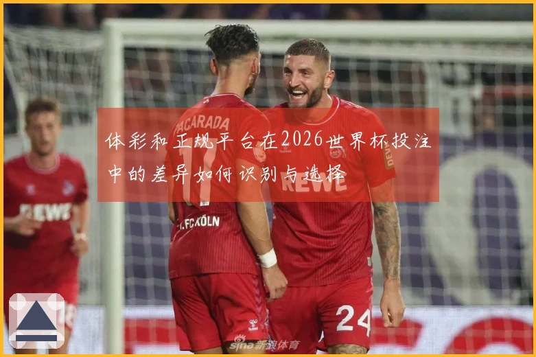 体彩和正规平台在2026世界杯投注中的差异如何识别与选择