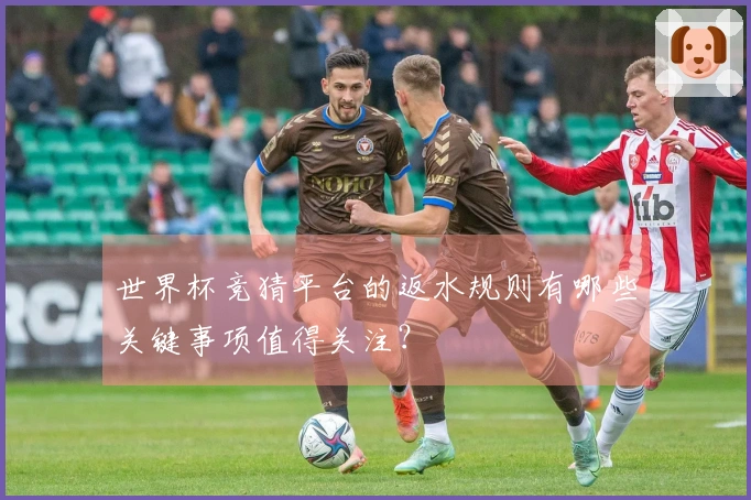 世界杯竞猜平台的返水规则有哪些关键事项值得关注？