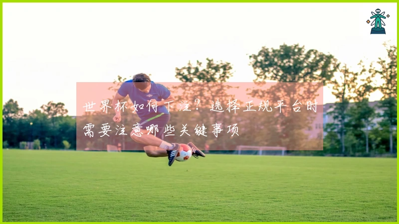 世界杯如何下注？选择正规平台时需要注意哪些关键事项