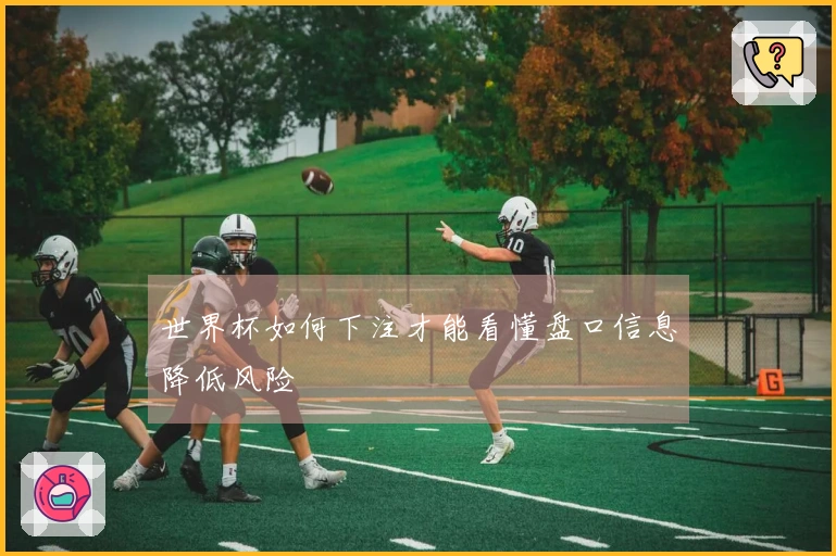 世界杯如何下注才能看懂盘口信息降低风险
