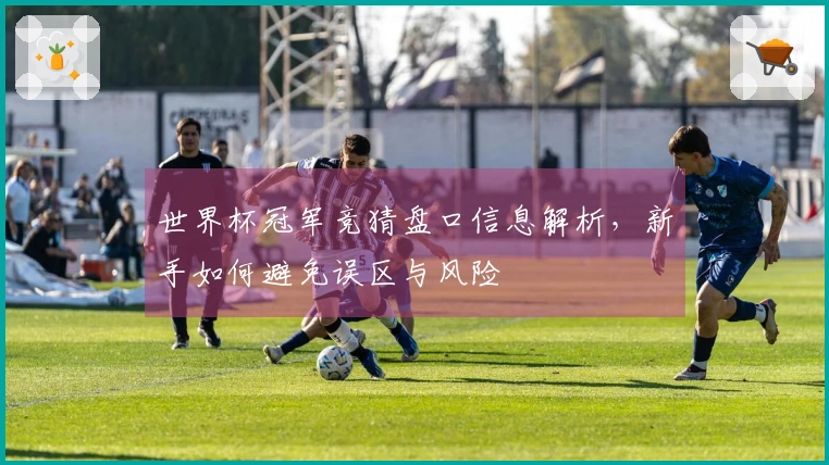 世界杯冠军竞猜盘口信息解析，新手如何避免误区与风险