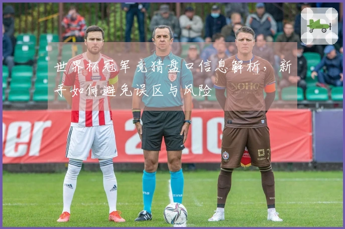 世界杯冠军竞猜盘口信息解析，新手如何避免误区与风险