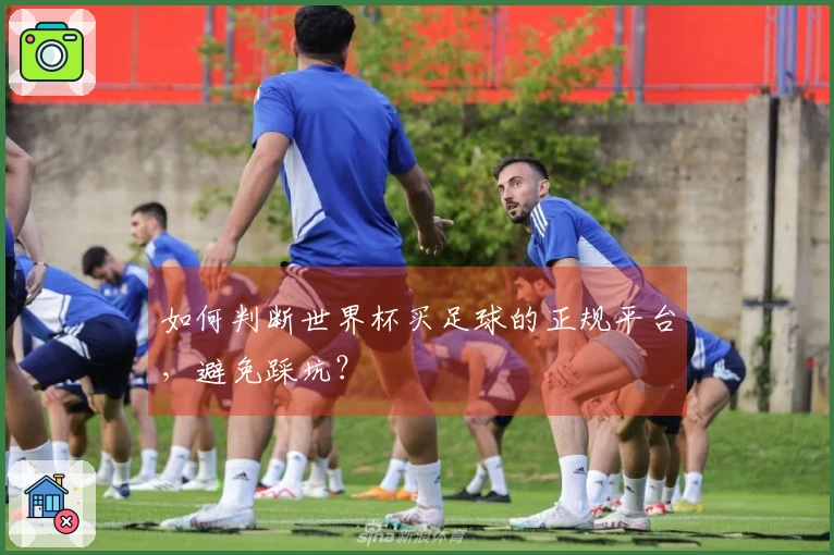 如何判断世界杯买足球的正规平台，避免踩坑？