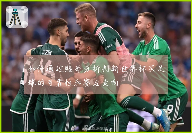 如何通过赔率分析判断世界杯买足球的可靠性和赛后走向