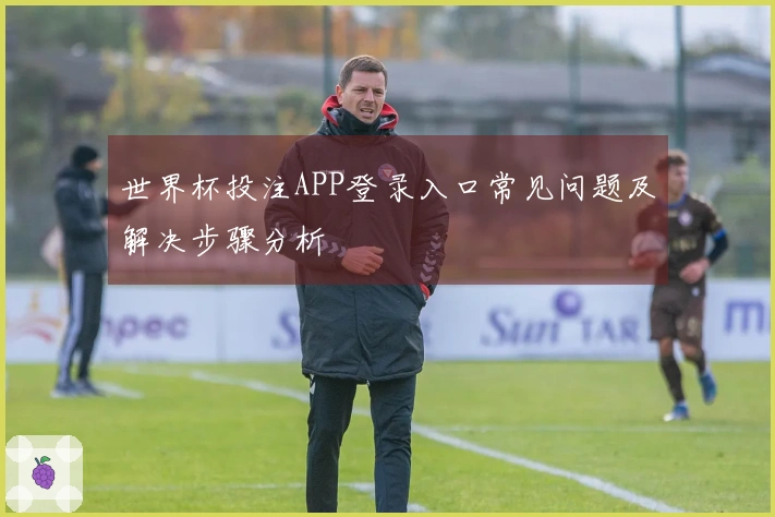 世界杯投注APP登录入口常见问题及解决步骤分析