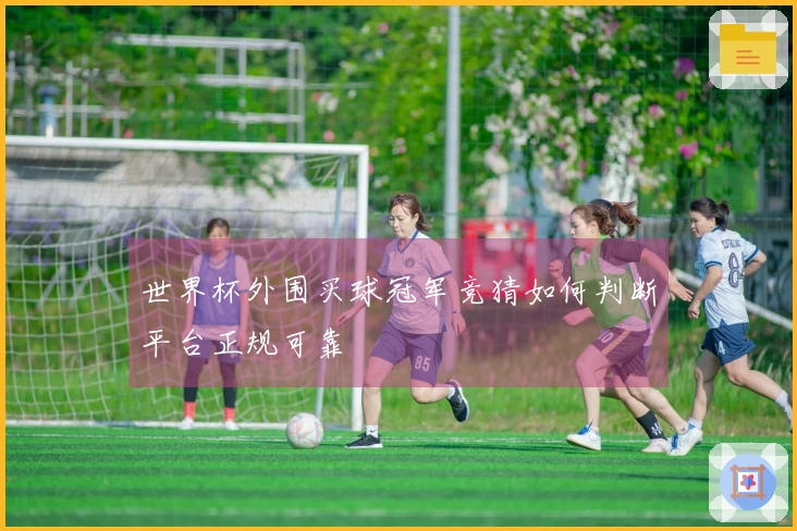 世界杯外围买球冠军竞猜如何判断平台正规可靠